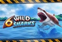 6 Wild Sharks 4ThePlayer สล็อต XO เข้าสู่ระบบ