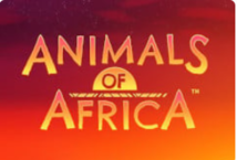 Animals of Africa Microgaming PG SLOT สล็อต PG ฟรีเครดิต