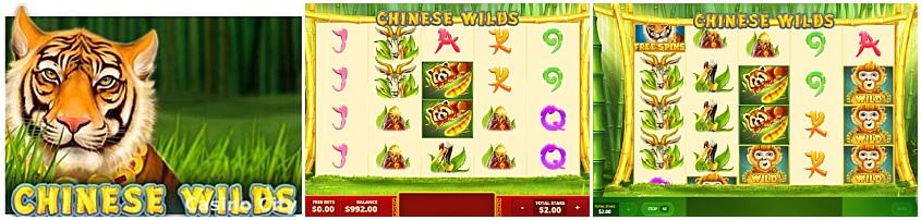 Chinese Wilds สล็อต Red Tiger Gaming เว็บตรง SLOTXO เข้าสู่ระบบ