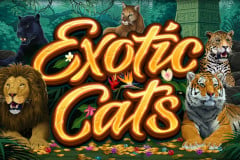 Exotic Cats MICROGAMING SLOTXO