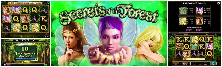 Secrets of the Forest สล็อตค่าย High 5 Slots เข้าสู่ระบบ บนเว็บ สล็อต XO