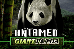 Untamed Giant Panda MICROGAMING SLOTXO