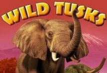 Wild Tusks สล็อตค่าย High 5 Games บนเว็บ SLOTXO เว็บตรง