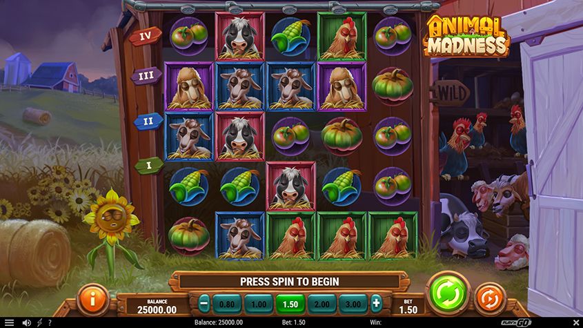 Animal Madness Play'n GO Slots สล็อต SLOTXO เว็บตรง