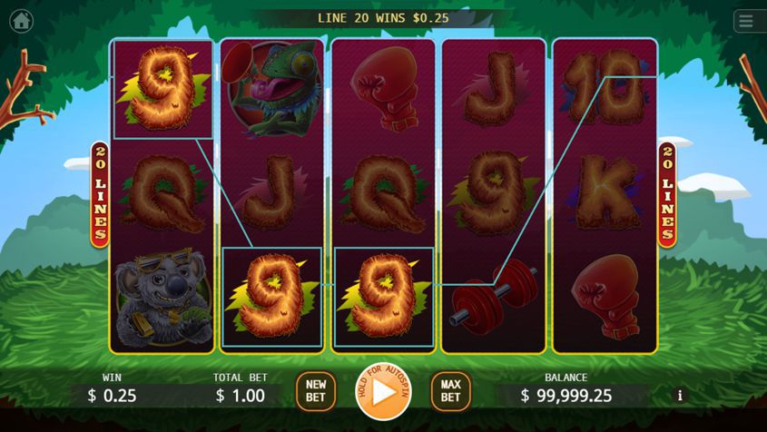 Boxing Roo KA Gaming สล็อต SLOTXO เว็บตรง