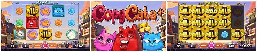 Copy Cats Slot สล็อตค่าย NetEnt ทางเข้า SLOTXO เว็บตรง