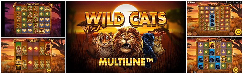 Wild Cats Multiline สล็อต Red Tiger Gaming เว็บตรง SLOTXO