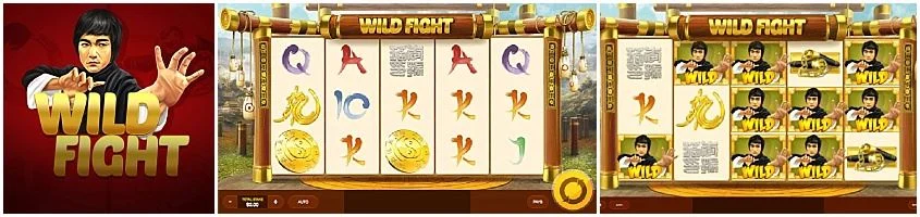 Wild Fight สล็อต Red Tiger Gaming เว็บตรง SLOTXO