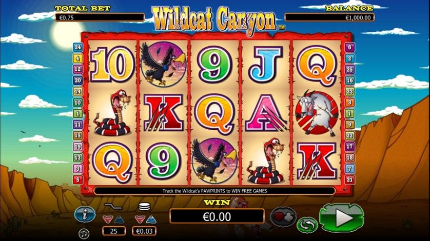 Wild Cat Canyon Slot Next Gen Slots สล็อต SLOTXO เว็บตรง