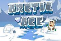 arctic-ace