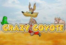 crazy-coyote