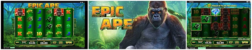 epic-ape (1)