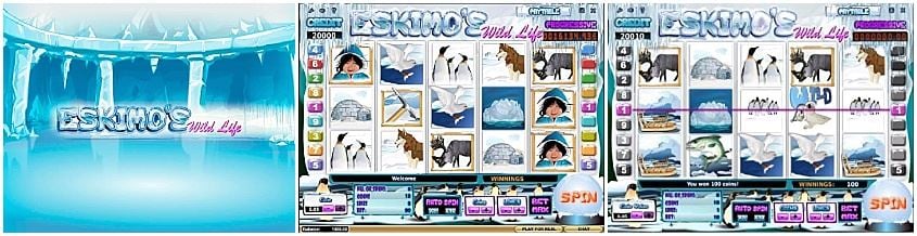 eskimos-wild-life (1)