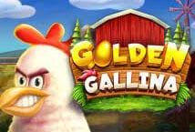golden-gallina