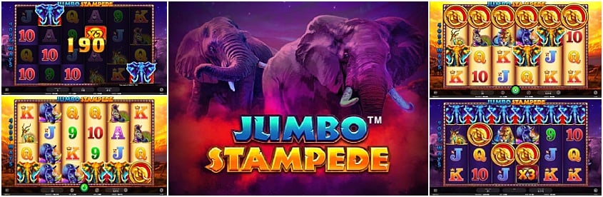 jumbo-stampede (1)