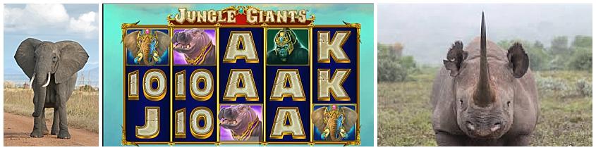 jungle-giants (1)