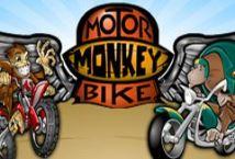 motorbike-monkey