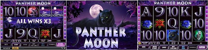 panther-moon (1)