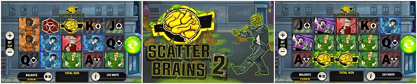 scatter-brains-2 (1)