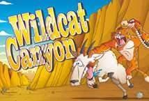 wild-cat-canyon
