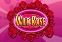 wild-rose