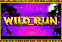 wild-run