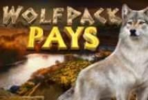 wolfpack-pays