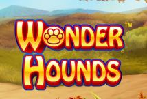 wonder-hounds