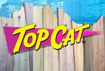 Top Cat สล็อตค่าย Blueprint Gaming เว็บตรง