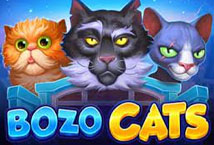 Bozo Cats สล็อตค่าย Playson เว็บตรง