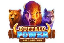 Buffalo Power Hold And Win สล็อตค่าย Playson เว็บตรง