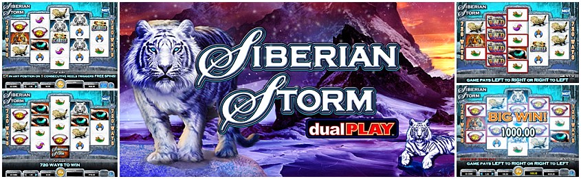 Siberian Storm Dual Play สล็อต IGT Slots เครดิตฟรี