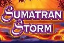 Sumatran Storm สล็อตค่าย IGT Slots เว็บตรง