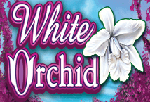 White Orchid สล็อต IGT เว็บตรง