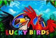 Lucky Birds สล็อตค่าย Playson เว็บตรง