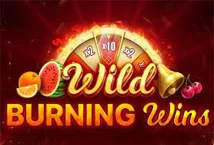 Wild Burning Wins สล็อตค่าย Playson เครดิตฟรี